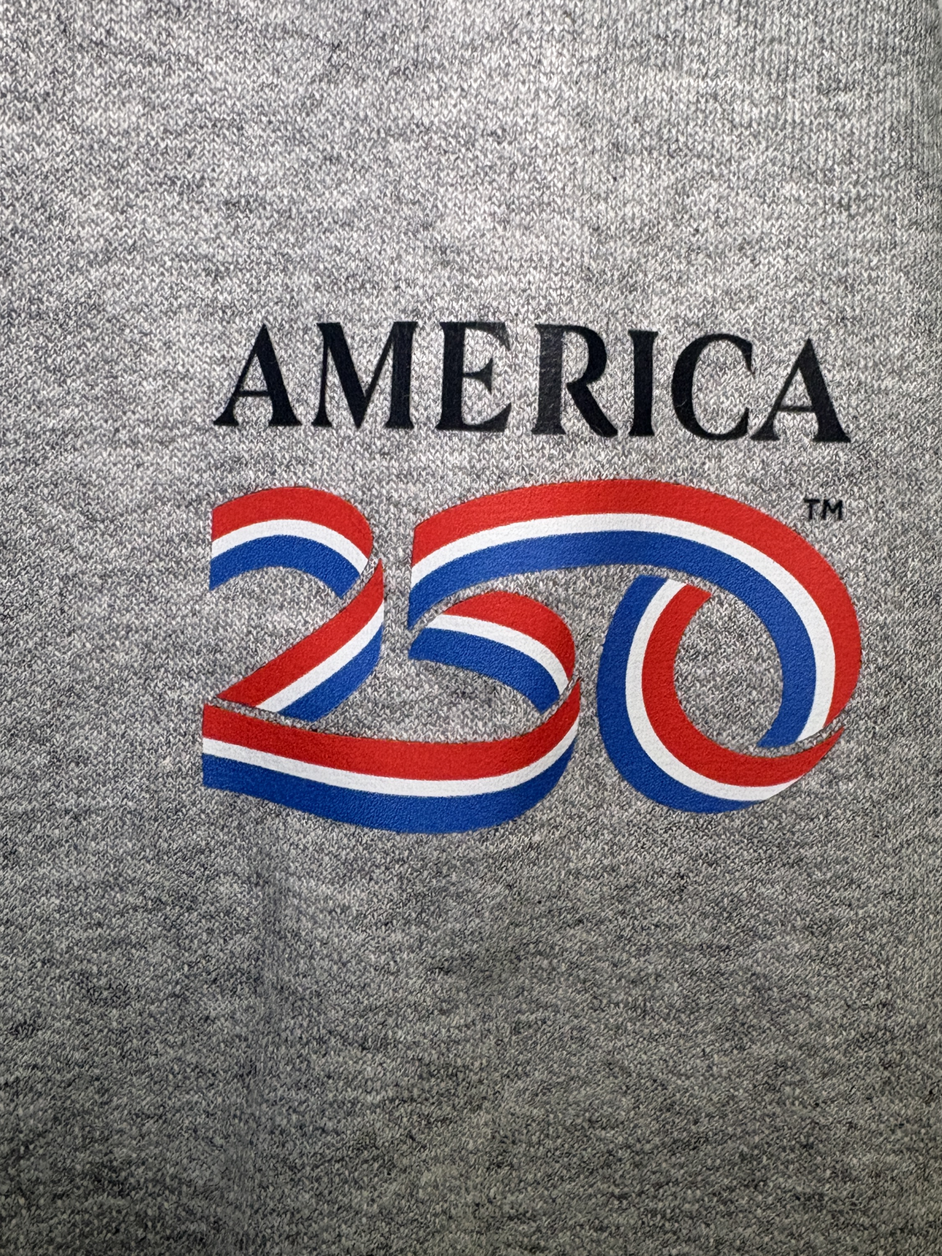 America 250 ribbon featured on the left sleeve of the hoodie